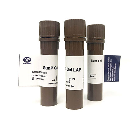 SunP Gel LAP  光引發劑