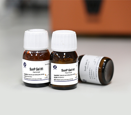 SunP Gel H2 (HAMA) 凍干粉（分子量150kDa-250kDa)